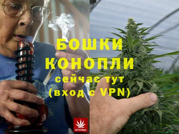 ГАЛЛЮЦИНОГЕННЫЕ ГРИБЫ Арсеньев