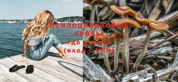ГАЛЛЮЦИНОГЕННЫЕ ГРИБЫ Арсеньев