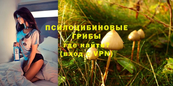 метадон Армянск