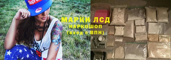 ГАЛЛЮЦИНОГЕННЫЕ ГРИБЫ Арсеньев